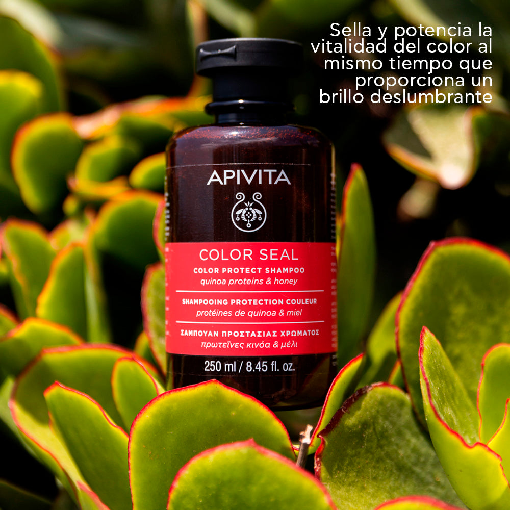 Apivita Shampoo color protect X 250ml