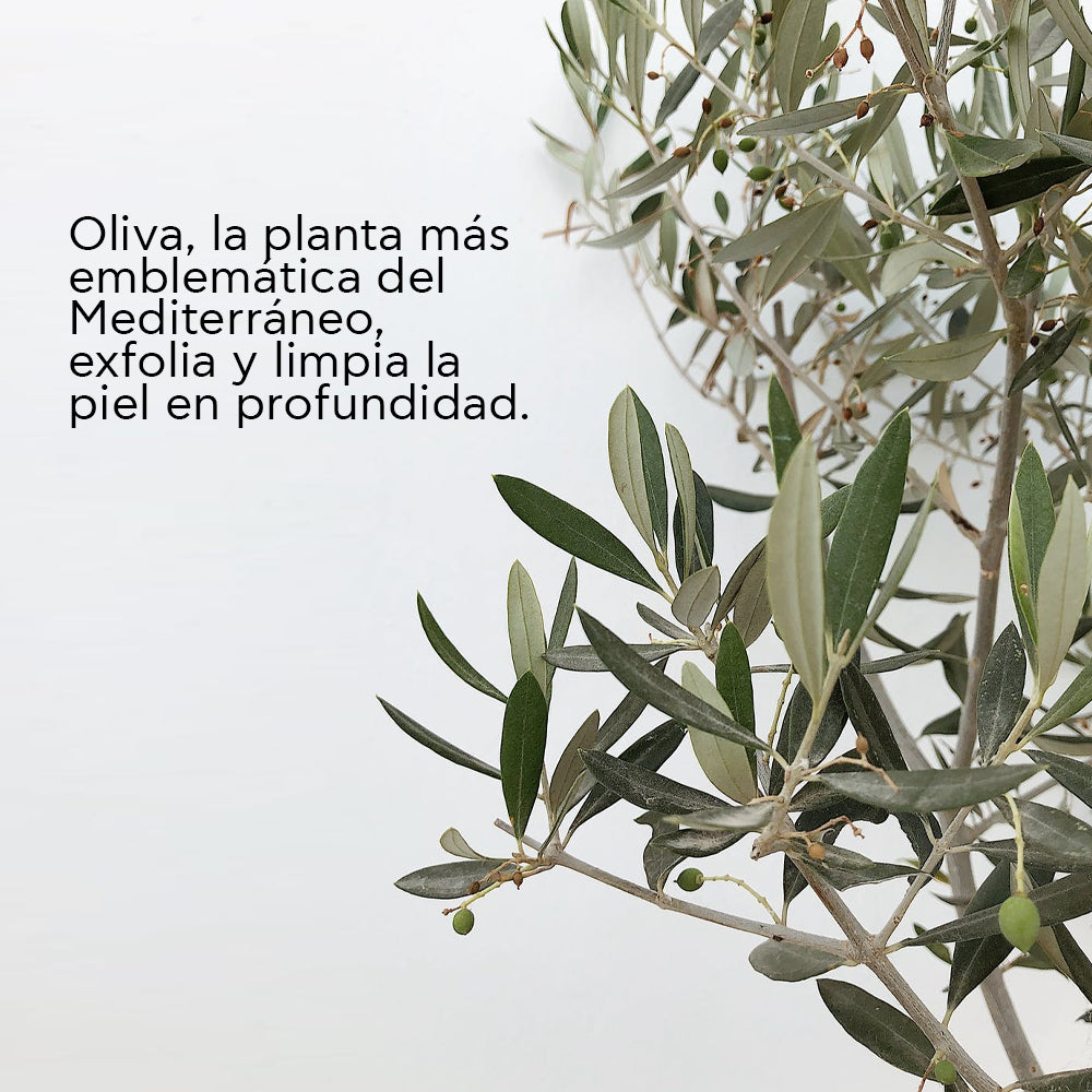 Apivita Mascarilla facial Oliva X 2 sachets