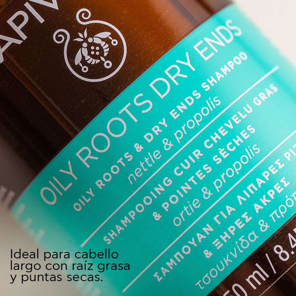 KIT 2x1 Apivita Oily Roots champú GRATIS Apivita Oily Roots acondicionador